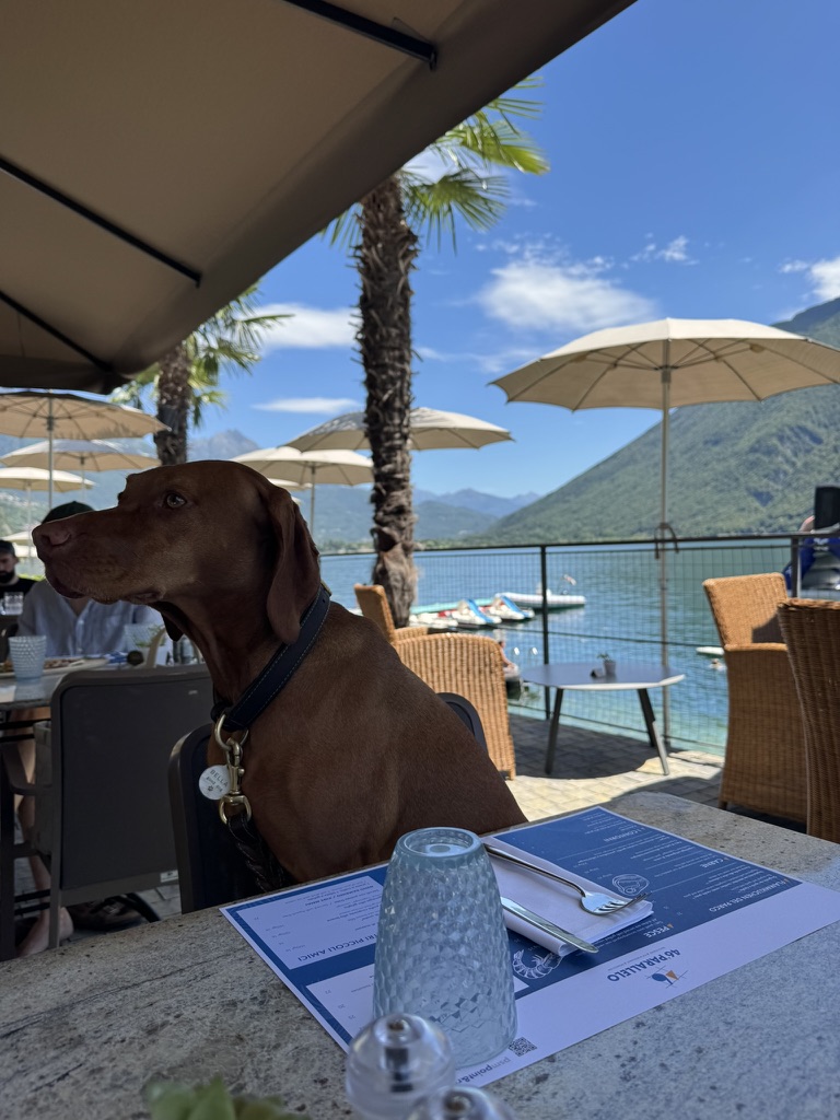 Parco San Marco dining